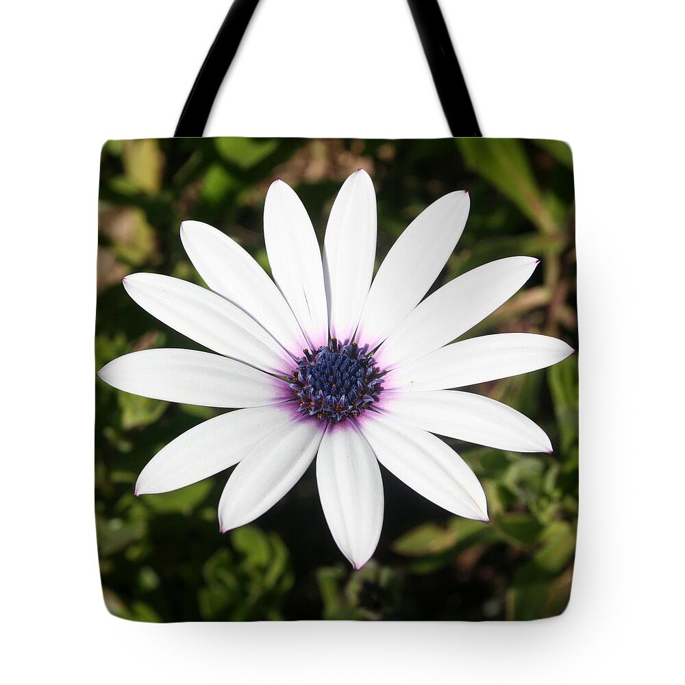 Gerbera Tote Bag featuring the photograph Thirteen White Petals by Taiche Acrylic Art