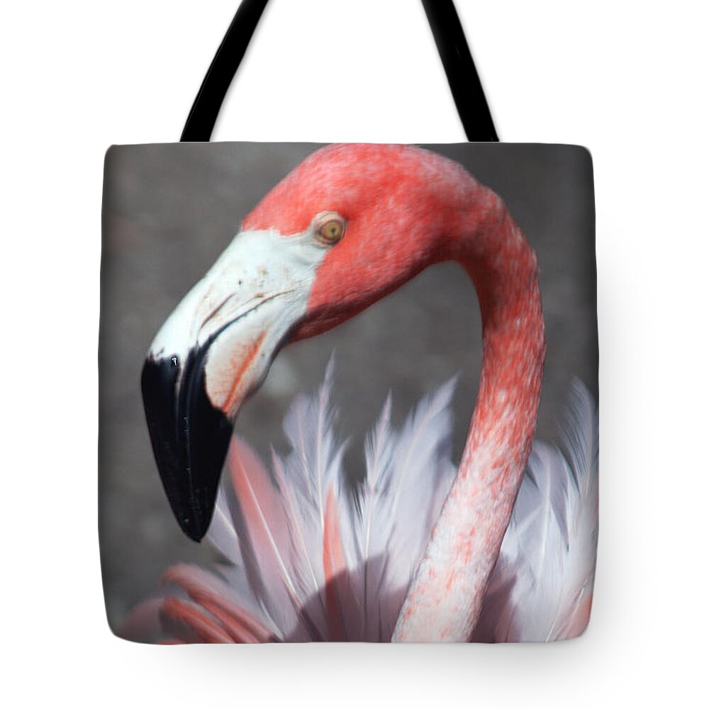 Flamingo Tote Bag featuring the photograph This is my Good Side by Sheryl Unwin