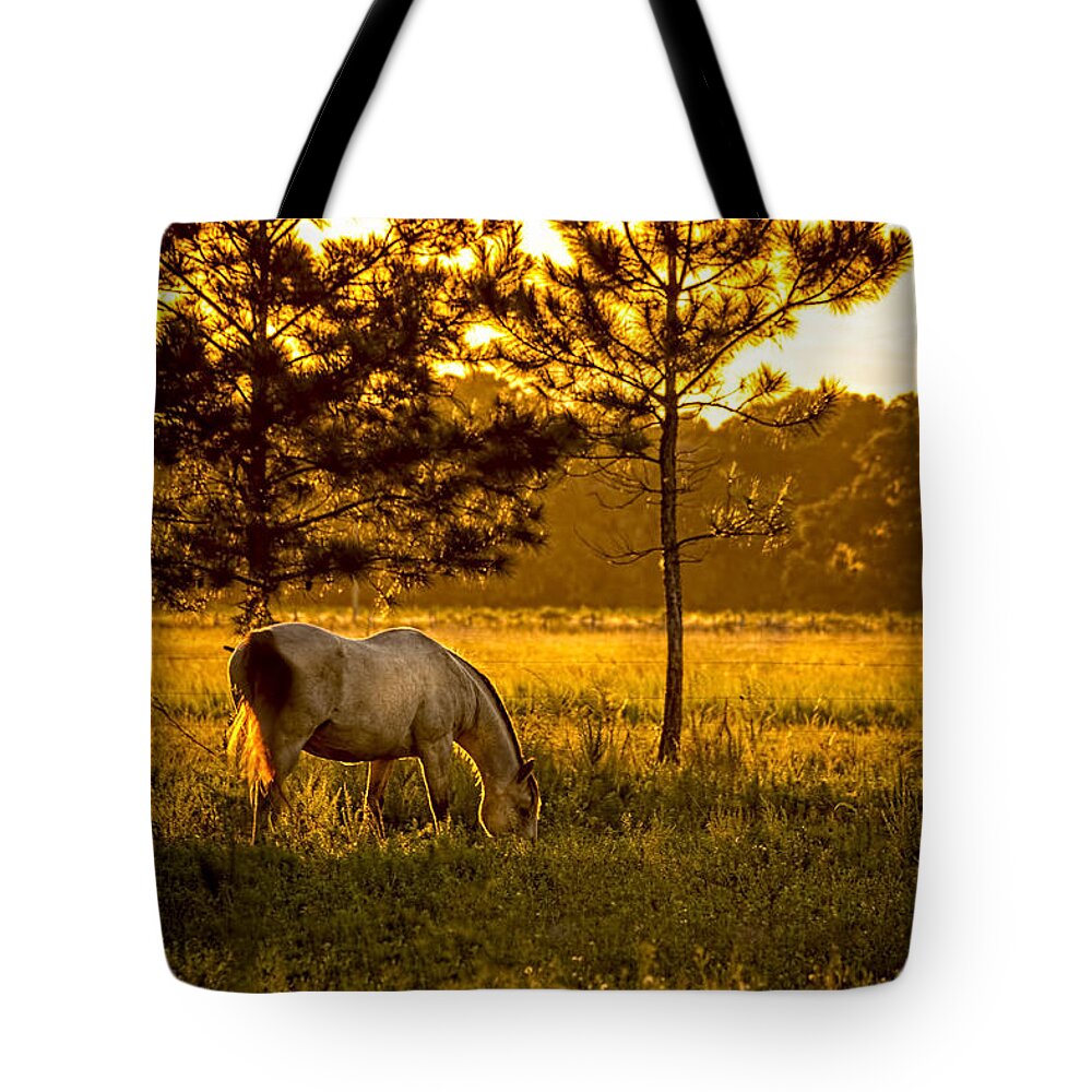 Farmland Tote Bag featuring the photograph This Old Friend by Marvin Spates