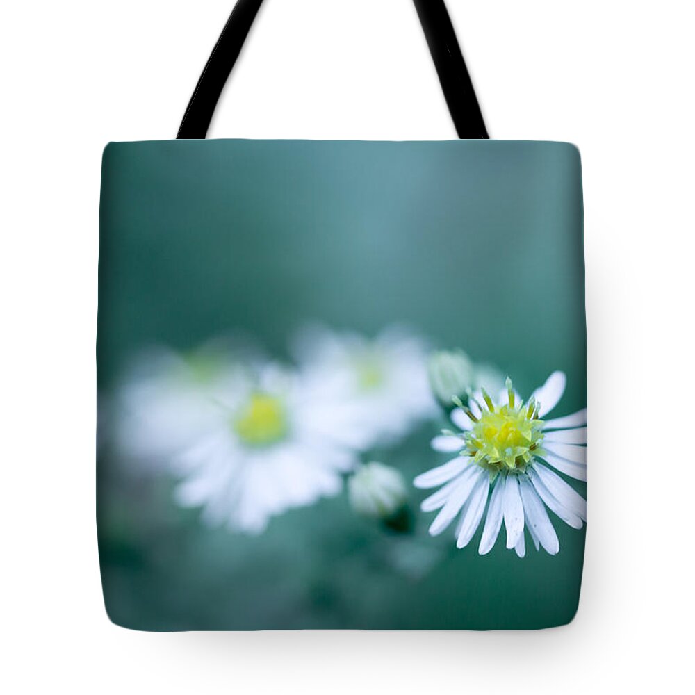 Flower Tote Bag featuring the photograph This One by Shane Holsclaw