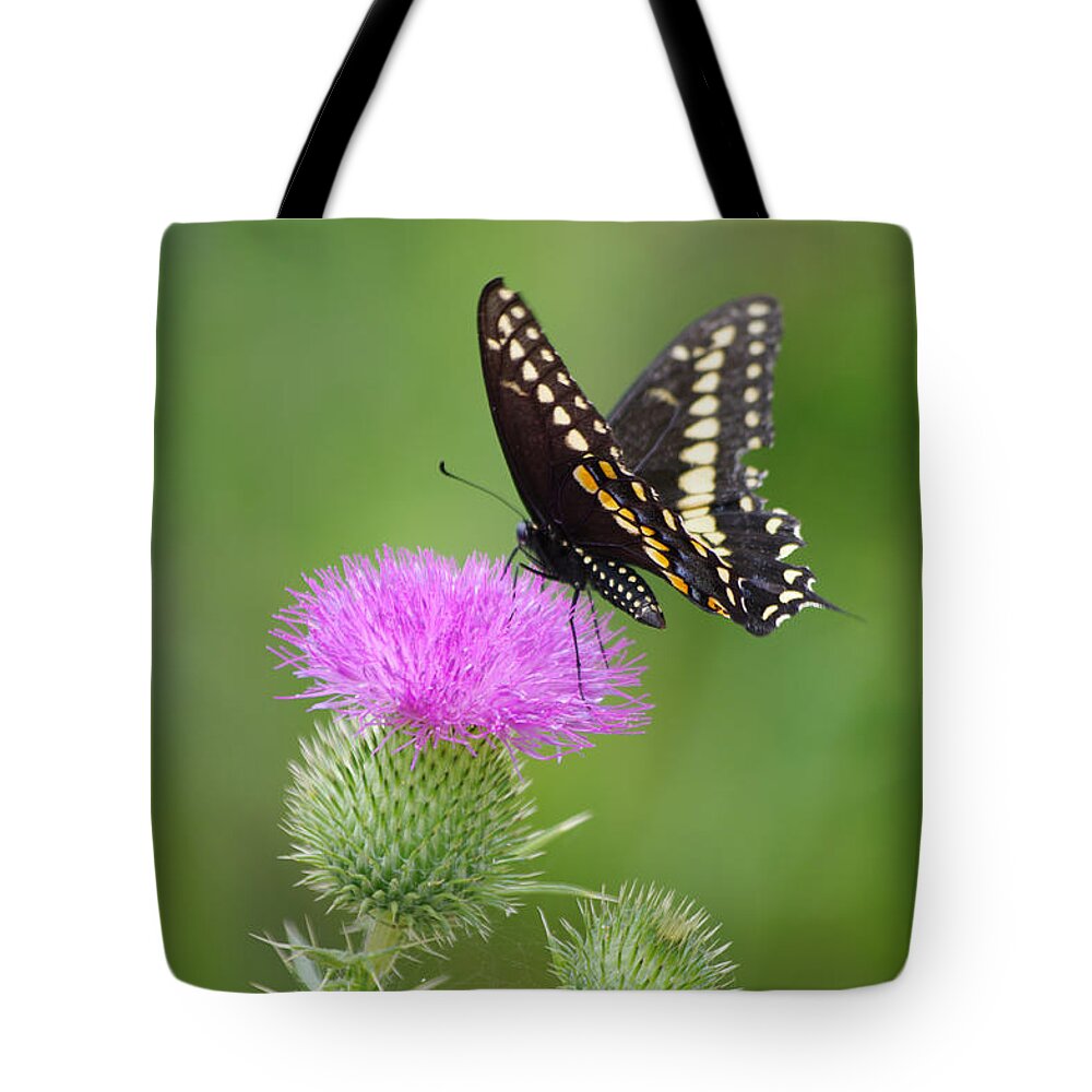 Butterfly Tote Bag featuring the photograph Thistle Rider by Greg Graham