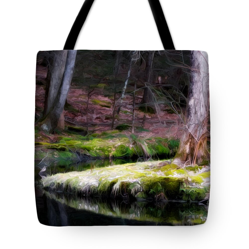 Stonechurch Tote Bag featuring the photograph Thoughts by Rick Kuperberg Sr