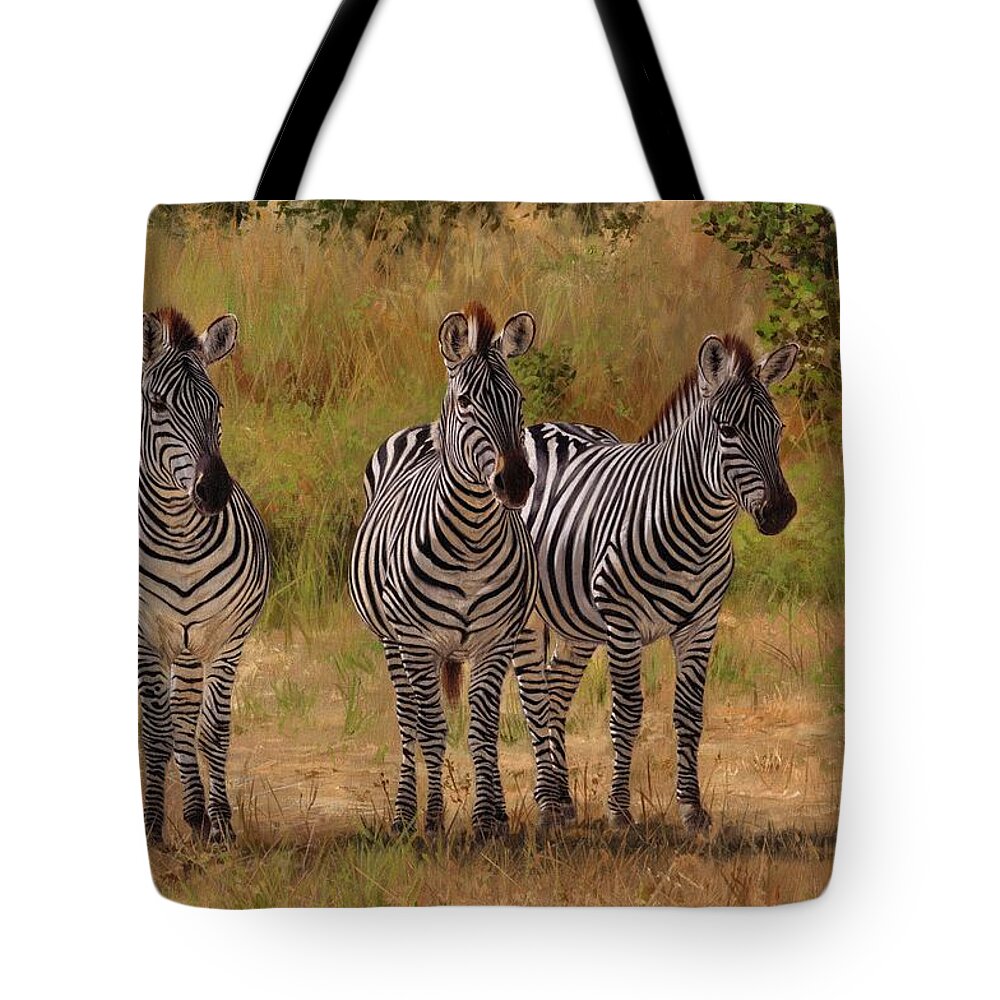 Zebra Tote Bag featuring the painting Three Amigos by David Stribbling