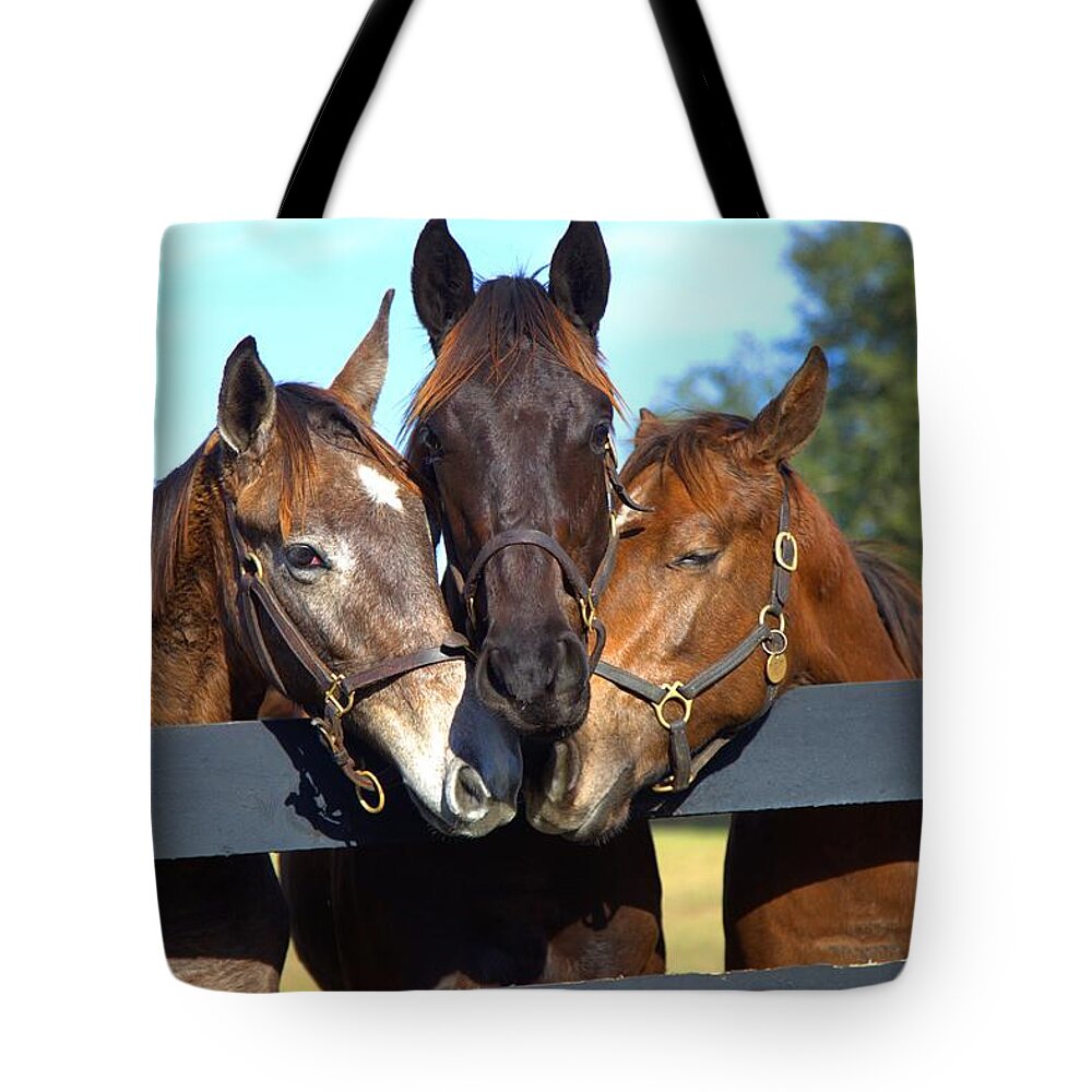 7522 Tote Bag featuring the photograph Three Friends by Gordon Elwell