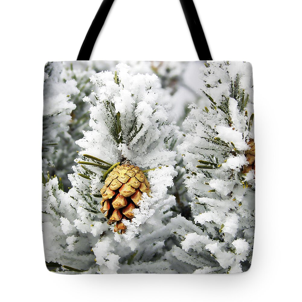 Three Tote Bag featuring the photograph Three Frosty Cones by Marilyn Hunt