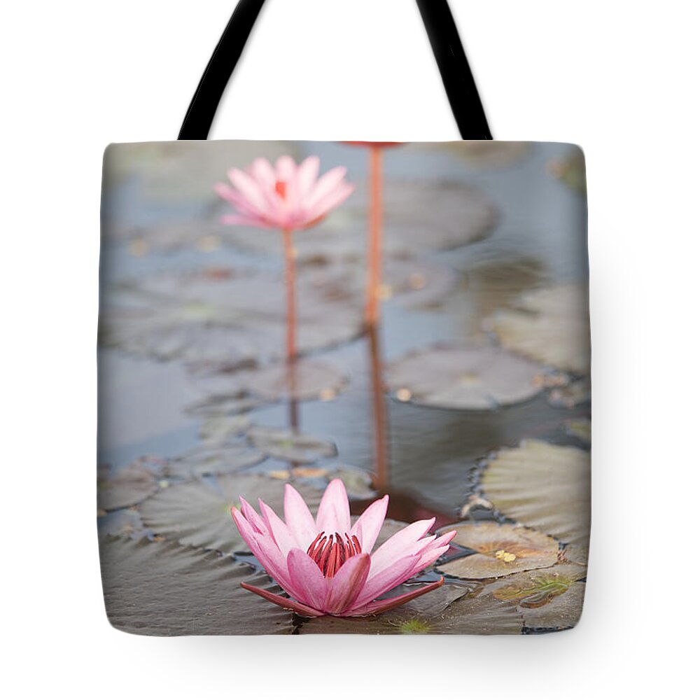 Floral Tote Bag featuring the photograph Three Lotus Flowers by Maria Heyens