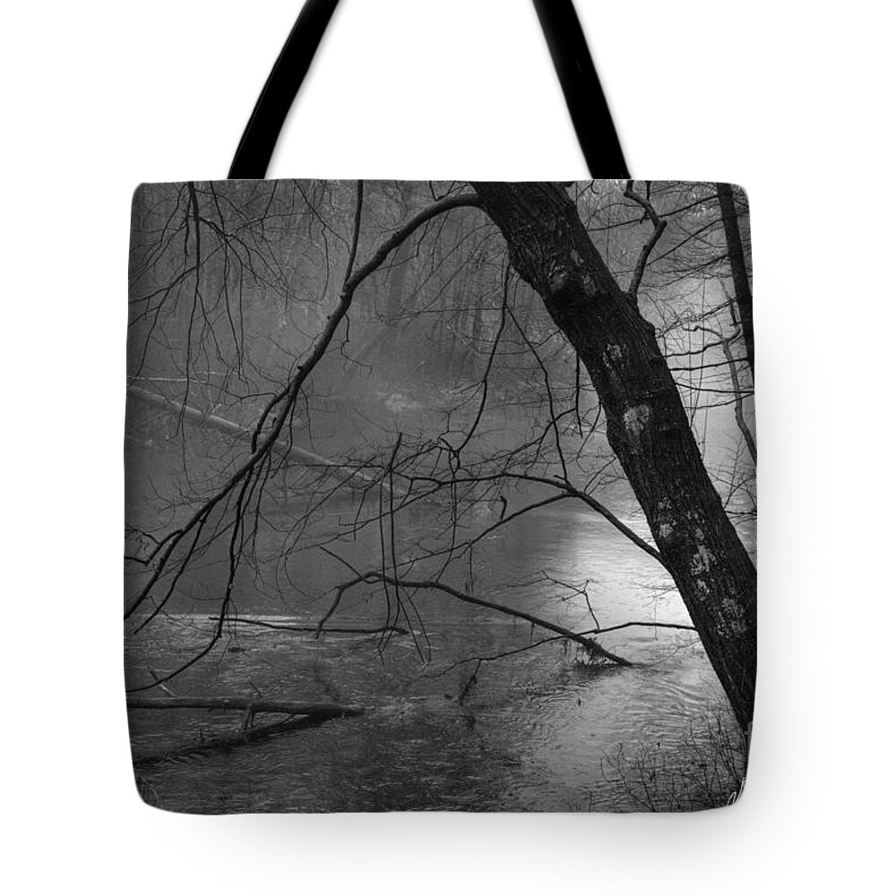 Three Tote Bag featuring the photograph Three Mile River by David Gordon