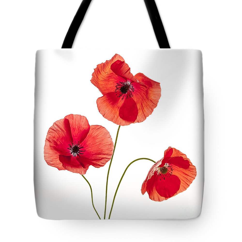 Poppy Tote Bag featuring the photograph Three red poppies by Elena Elisseeva