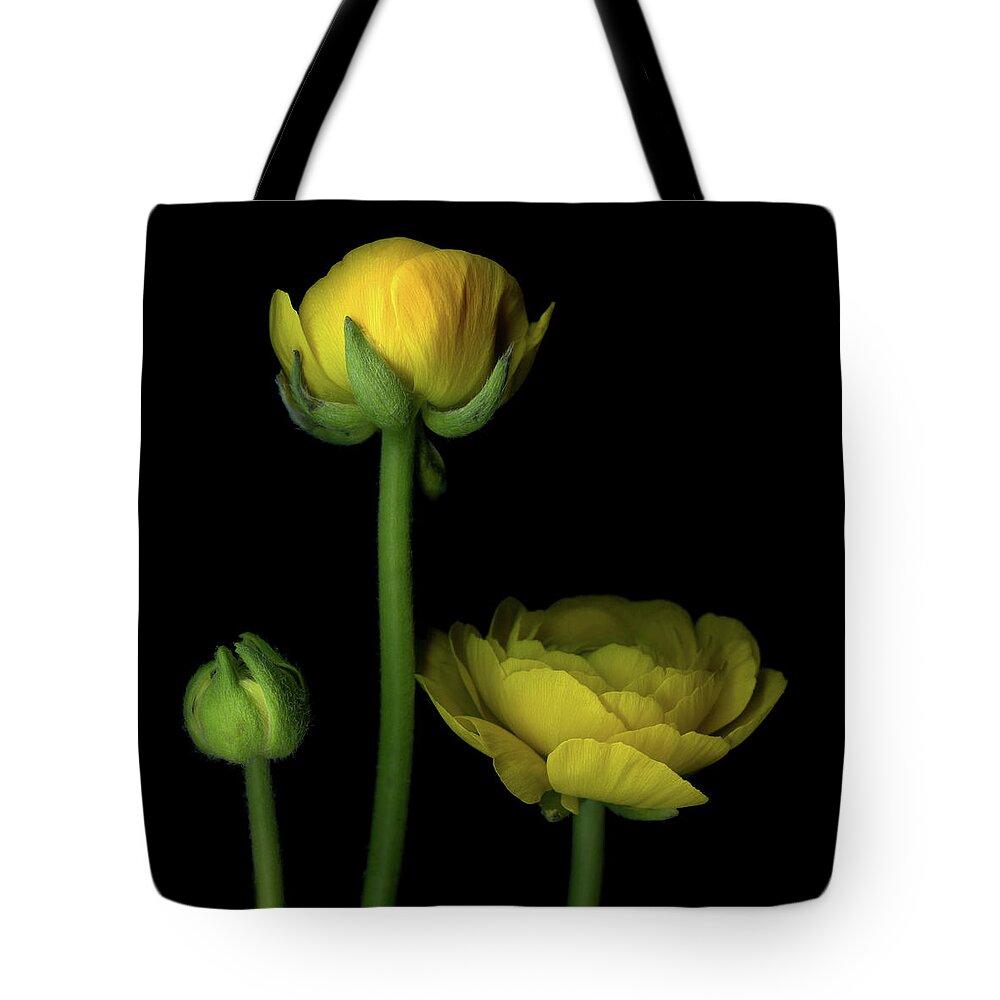 Bud Tote Bag featuring the photograph Three Stages by Photograph By Magda Indigo