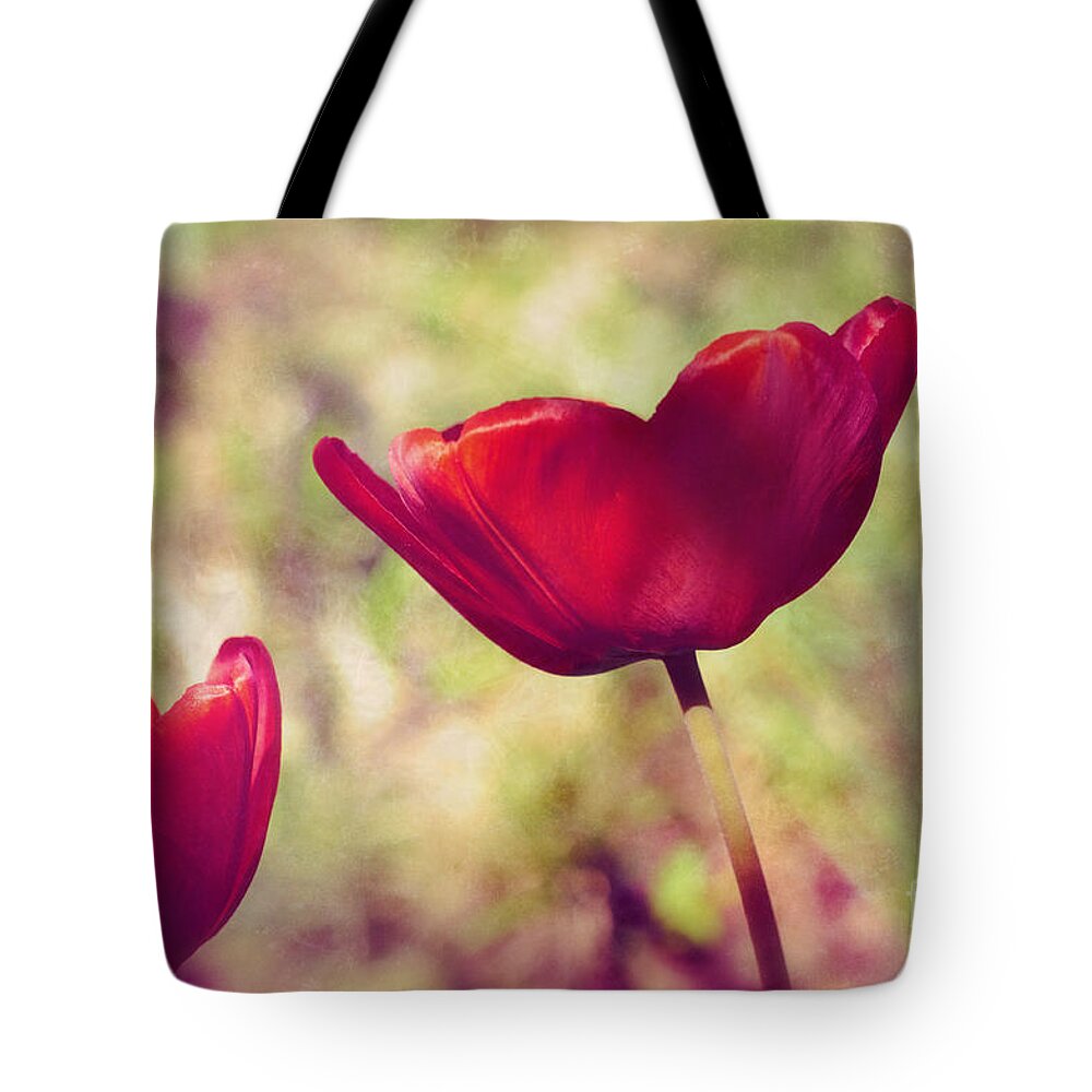 Tulips Tote Bag featuring the photograph Three tulips by Silvia Ganora