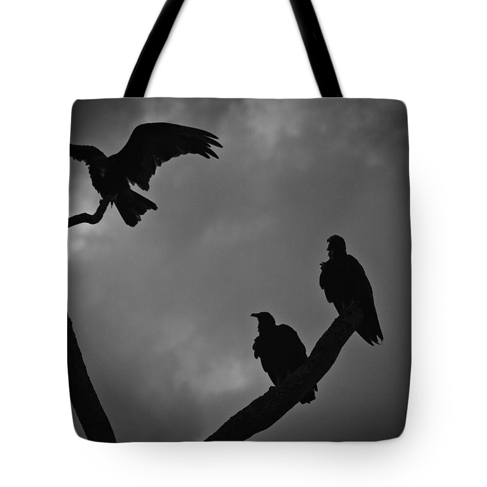 Florida Tote Bag featuring the photograph Three Vultures by Bradley R Youngberg
