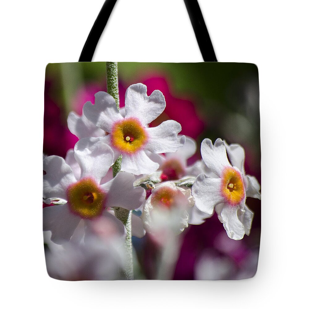 Flowers Tote Bag featuring the photograph Three Yellow Faces by Spikey Mouse Photography