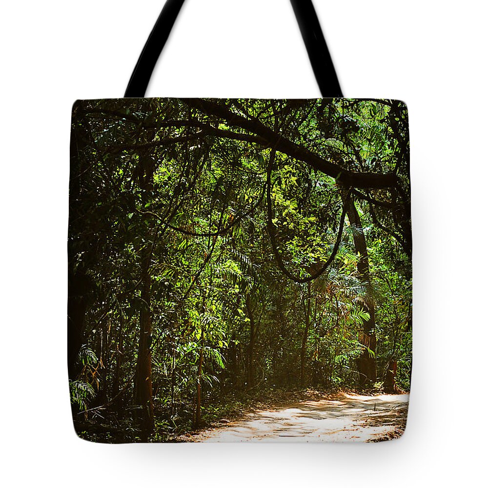 India Tote Bag featuring the photograph Through the Jungles by Jenny Rainbow