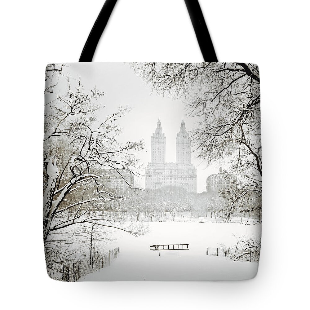 New York City Tote Bag featuring the photograph Through Winter Trees - Central Park - New York City by Vivienne Gucwa