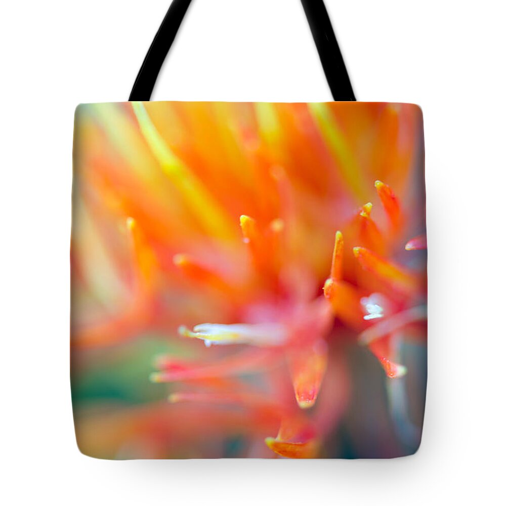 Abstract Tote Bag featuring the photograph Tie-Dye by Tamara Becker