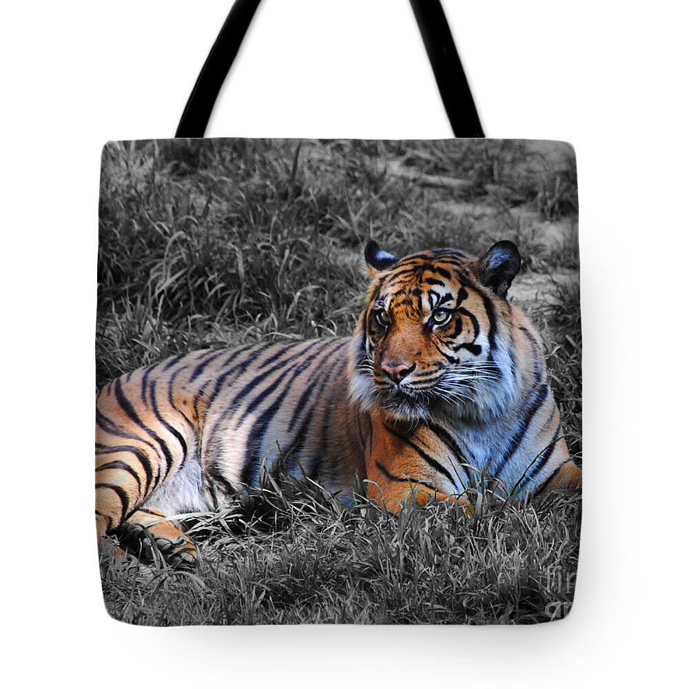 Tiger Tote Bag featuring the photograph Tiger by Jai Johnson