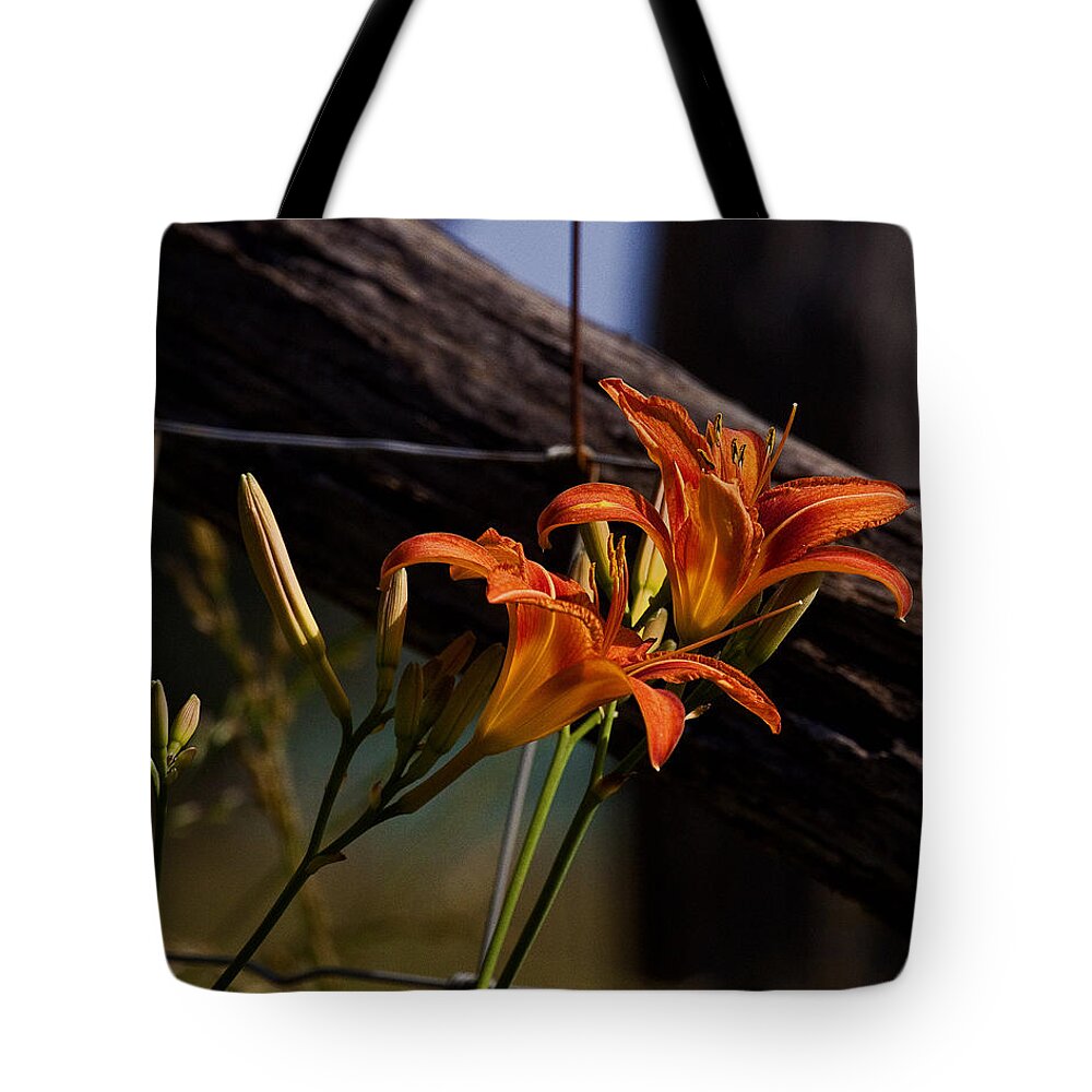 Tiger Lilies Tote Bag featuring the photograph Tiger Lilies Along Fence Line by Michael Dougherty
