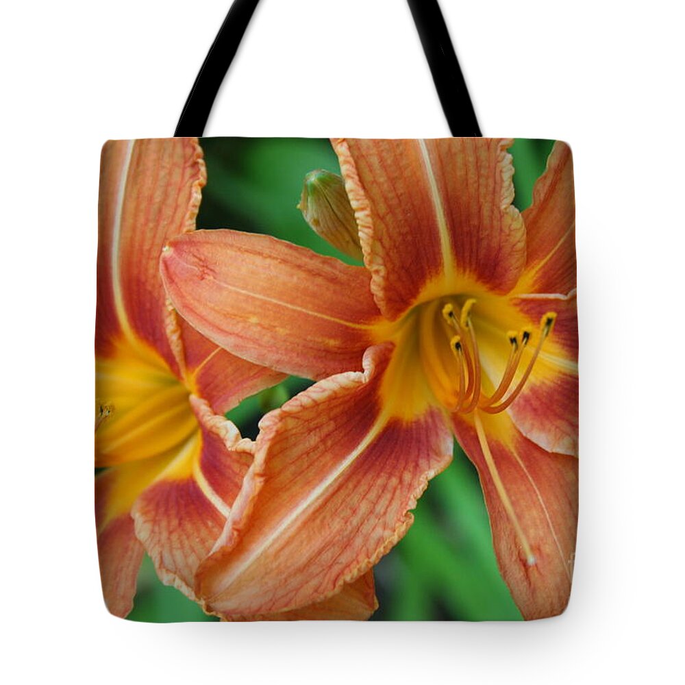 Tiger Lily Tote Bag featuring the photograph Tiger lily 3 by Jim Gillen