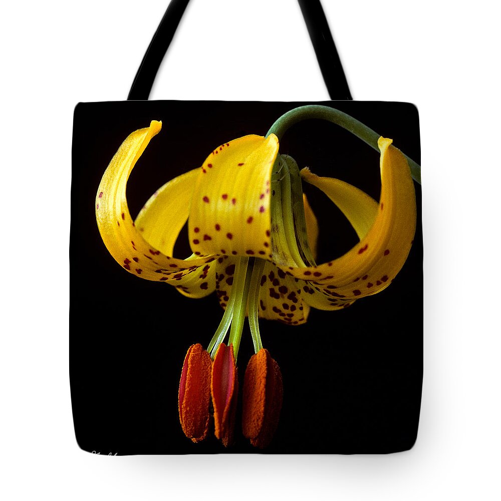 Beauty In Nature Tote Bag featuring the photograph Tiger Lily by Jeff Goulden