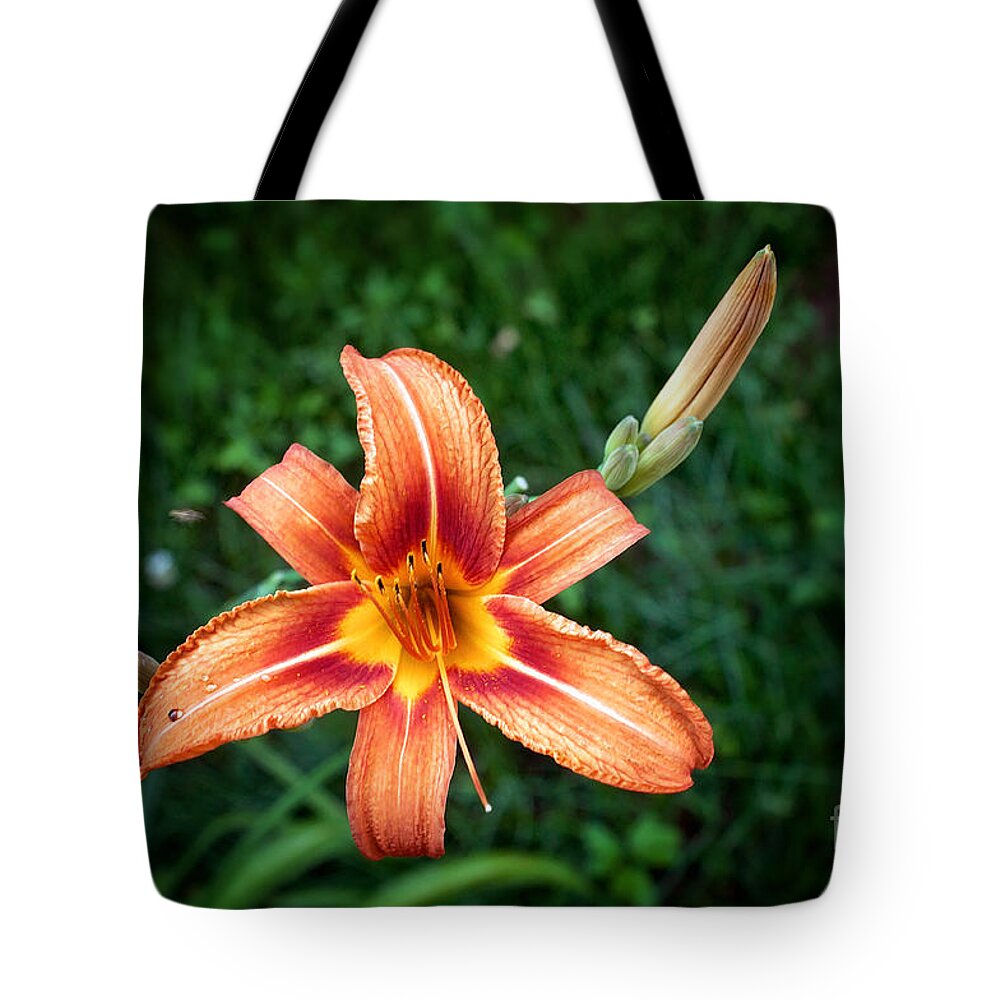 Tiger Lily Print Tote Bag featuring the photograph Tiger Lily Print by Gwen Gibson