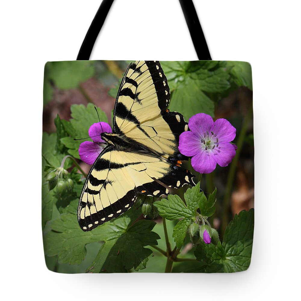 Tiger Swallowtail Butterfly On Geranium Tote Bag featuring the photograph Tiger Swallowtail Butterfly On Geranium by Daniel Reed