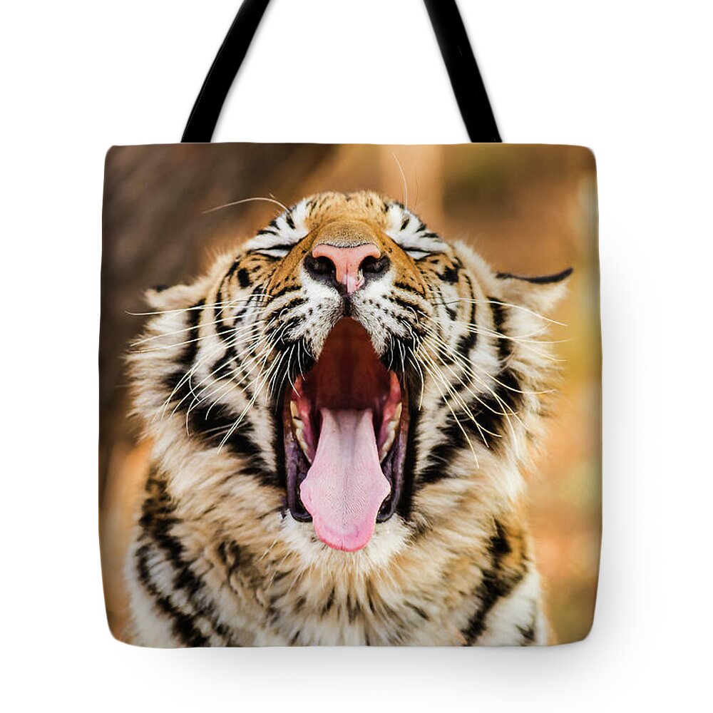 Animals In The Wild Tote Bag featuring the photograph Tiger Yawn by John Mckeen