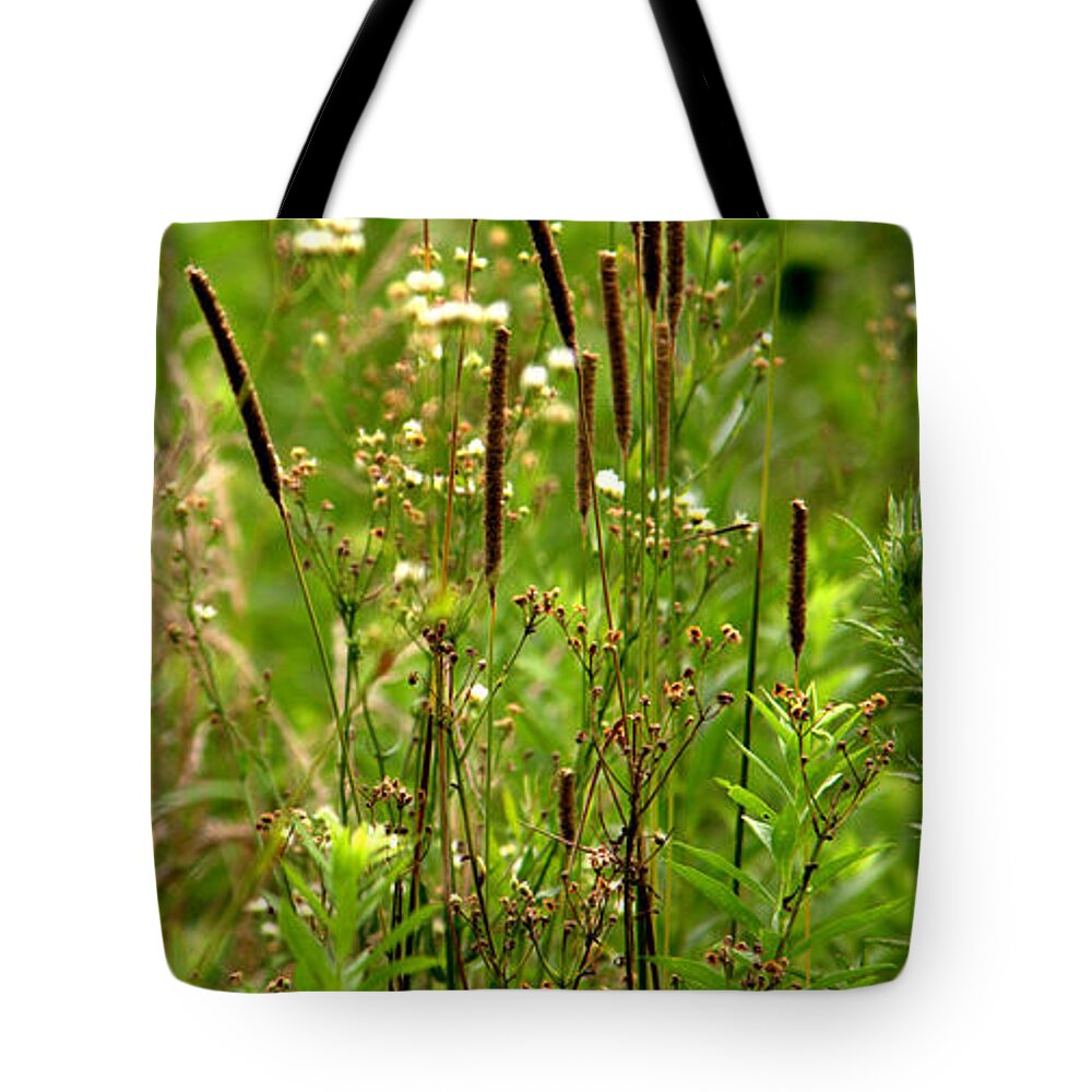 Tiny Cats Tote Bag featuring the photograph Tiny Cats by Edward Smith