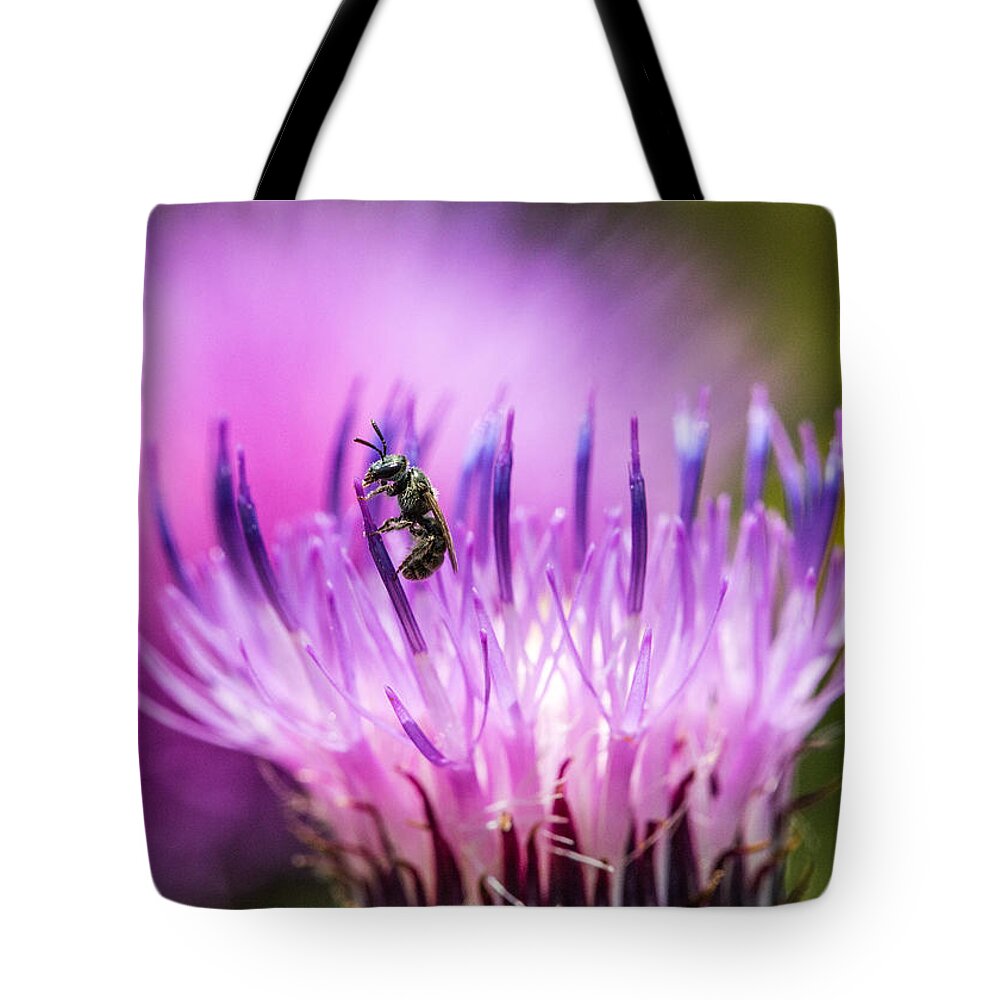 Bee Tote Bag featuring the photograph Tiny Dark Bee on Texas Thistle by Steven Schwartzman