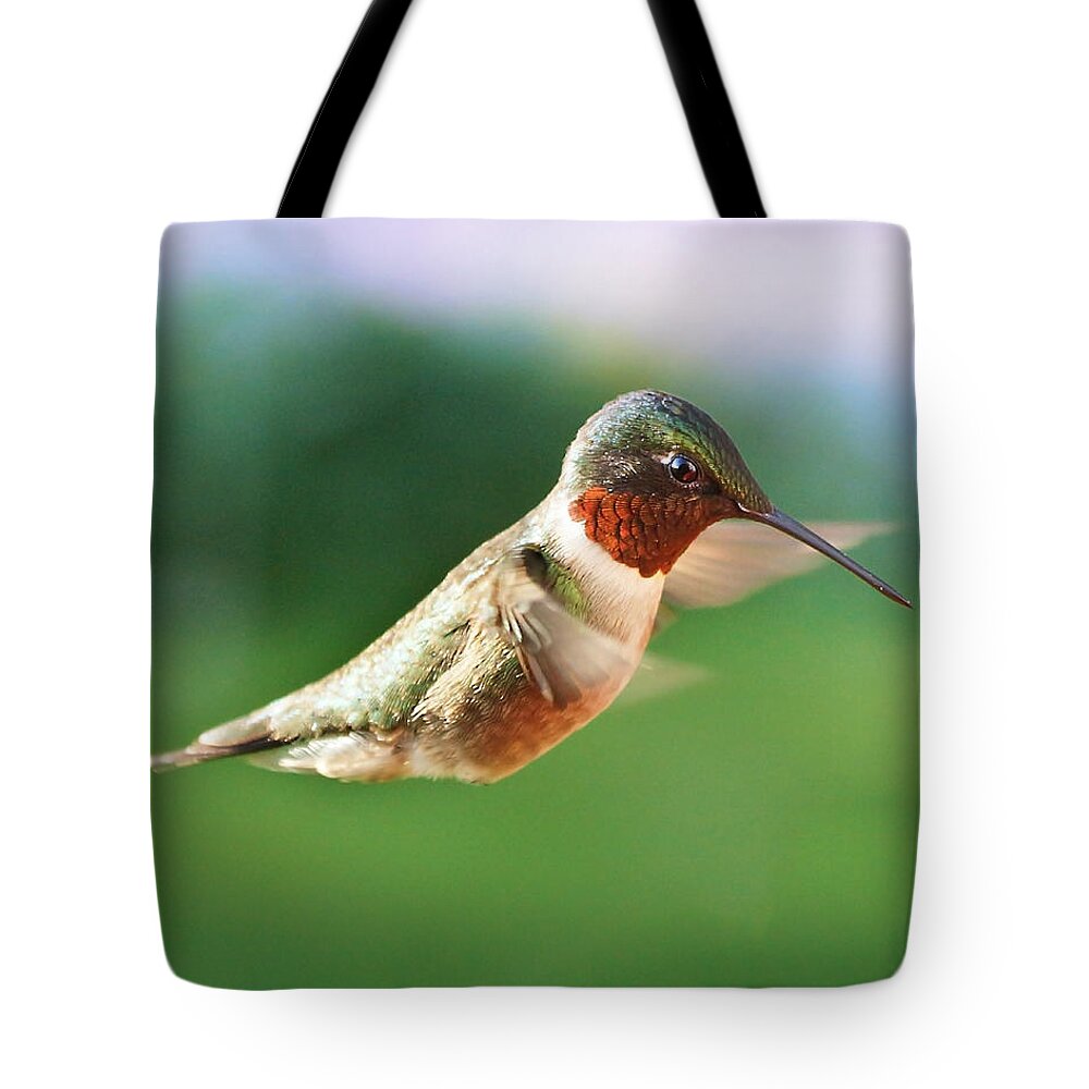 Bird Tote Bag featuring the photograph Tiny Details by Bill Pevlor