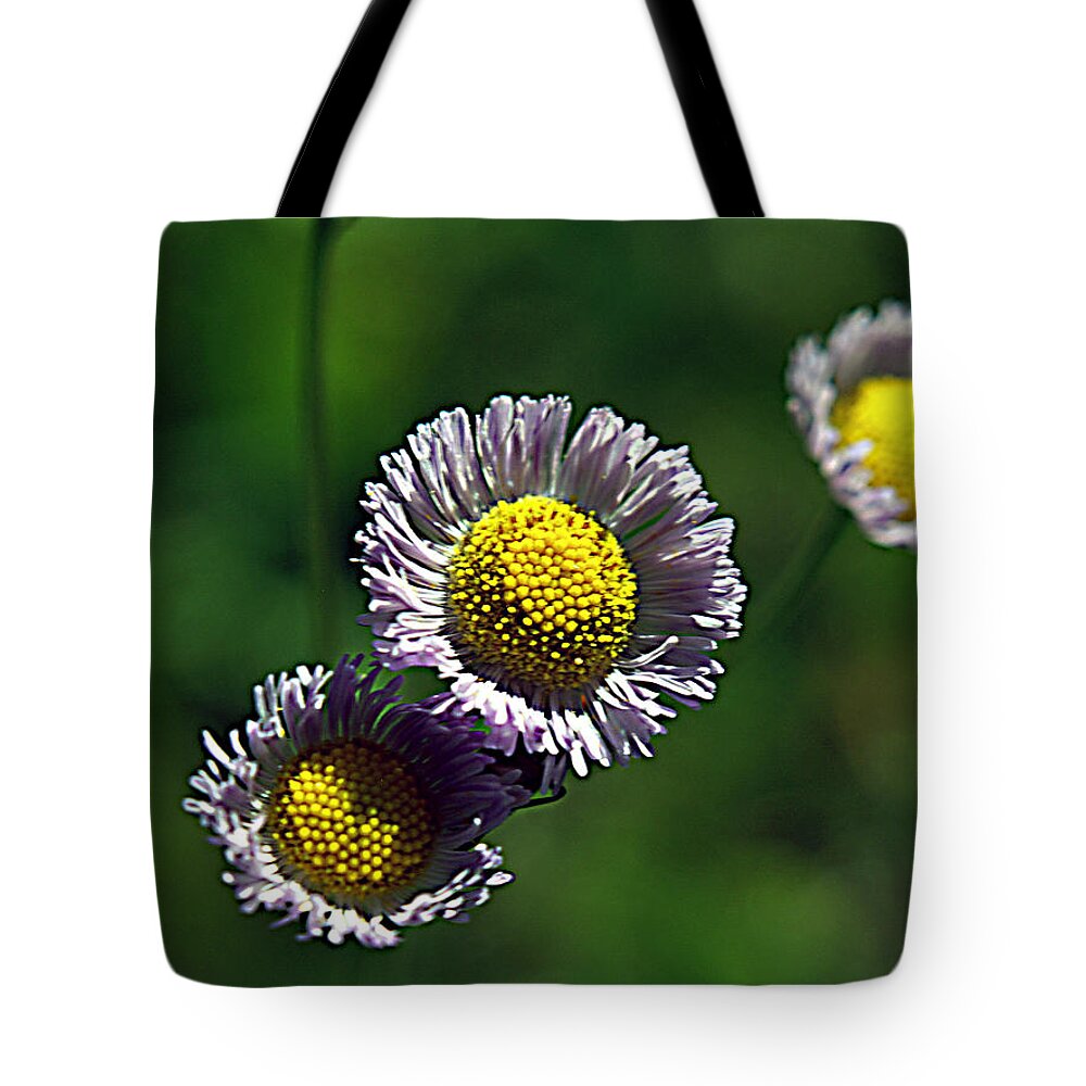 Flower Tote Bag featuring the photograph Tiny Little Weed by Bob Johnson