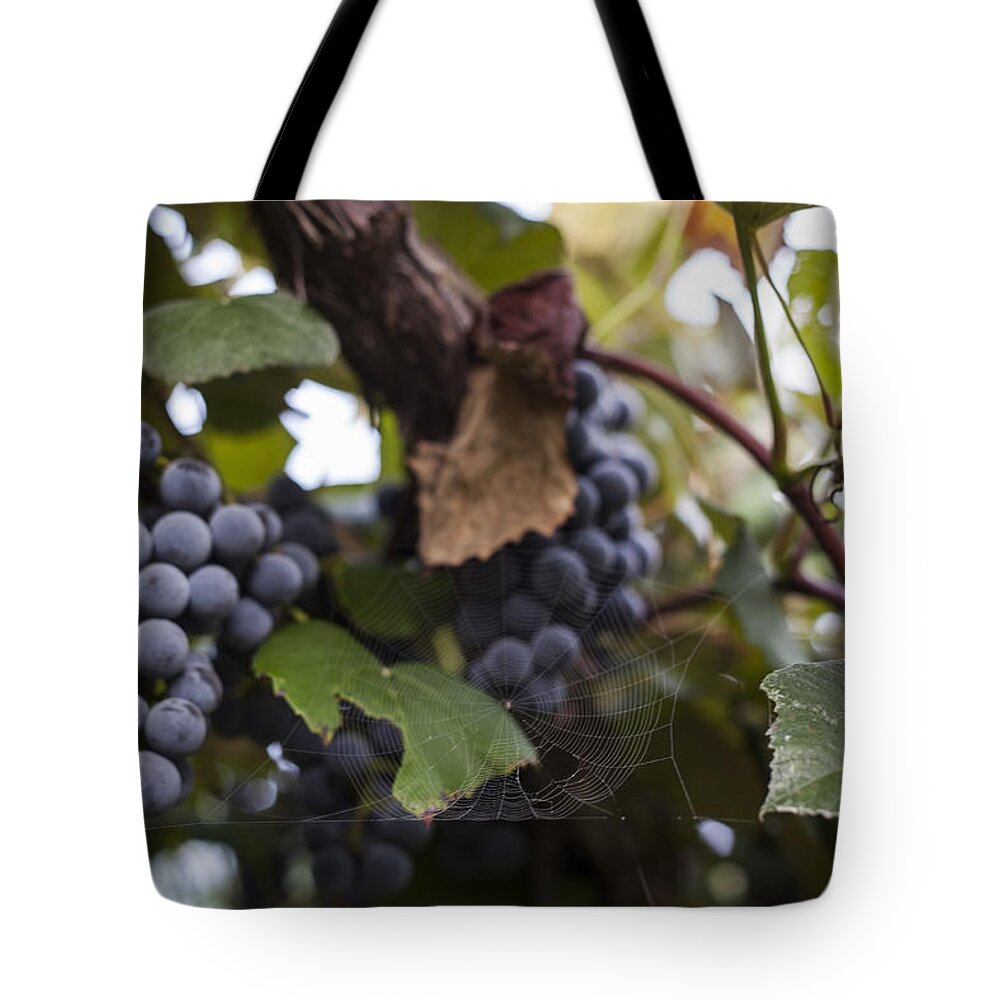 Virginia Tote Bag featuring the photograph Tiny Vineyard Keeper by Amber Kresge