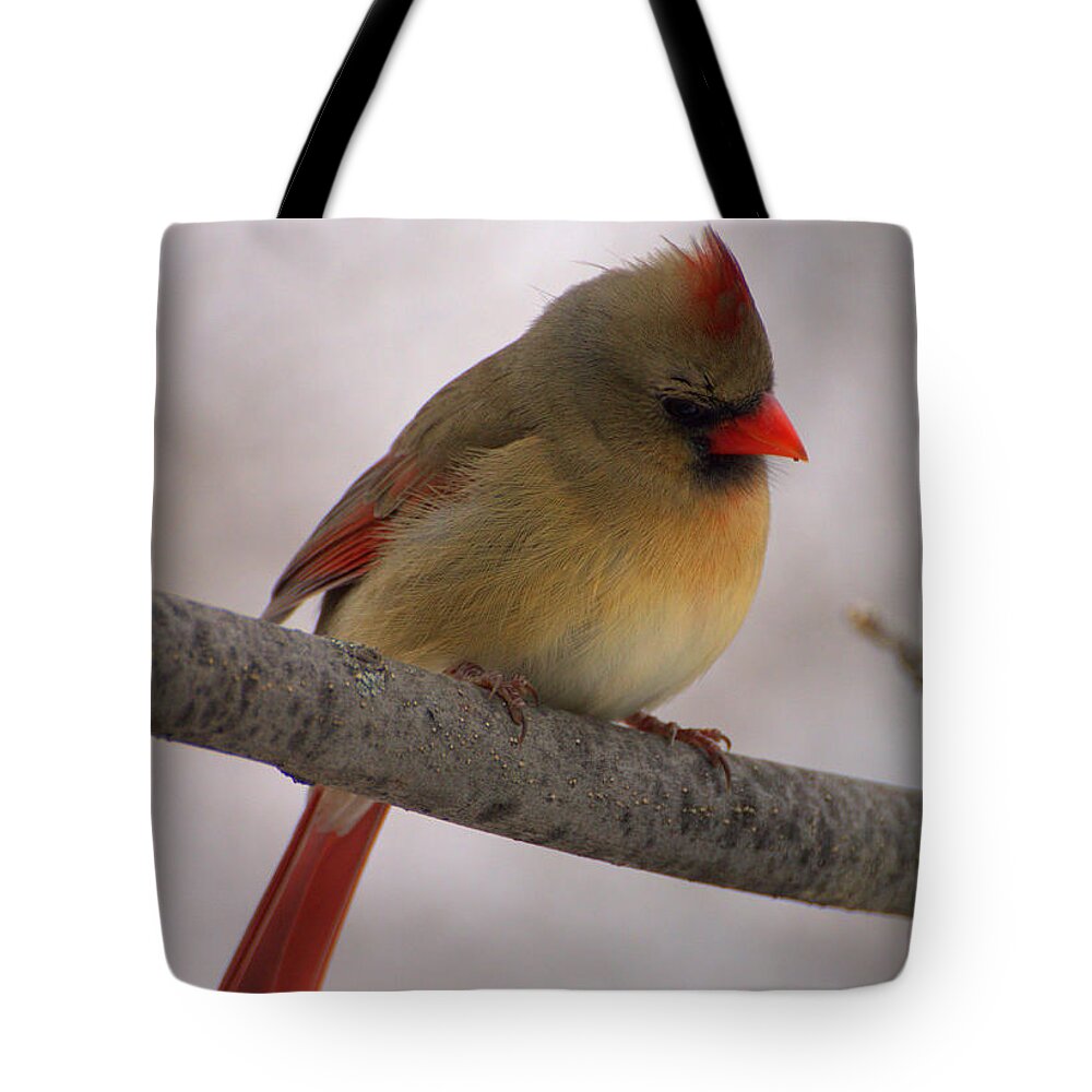 Tipsy Tote Bag featuring the photograph Tipsy by Edward Smith
