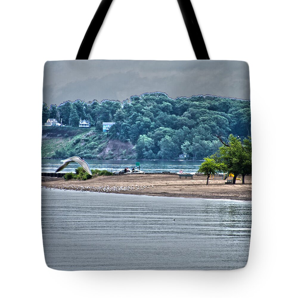 Sea Gull Tote Bag featuring the photograph To The Beach by William Norton