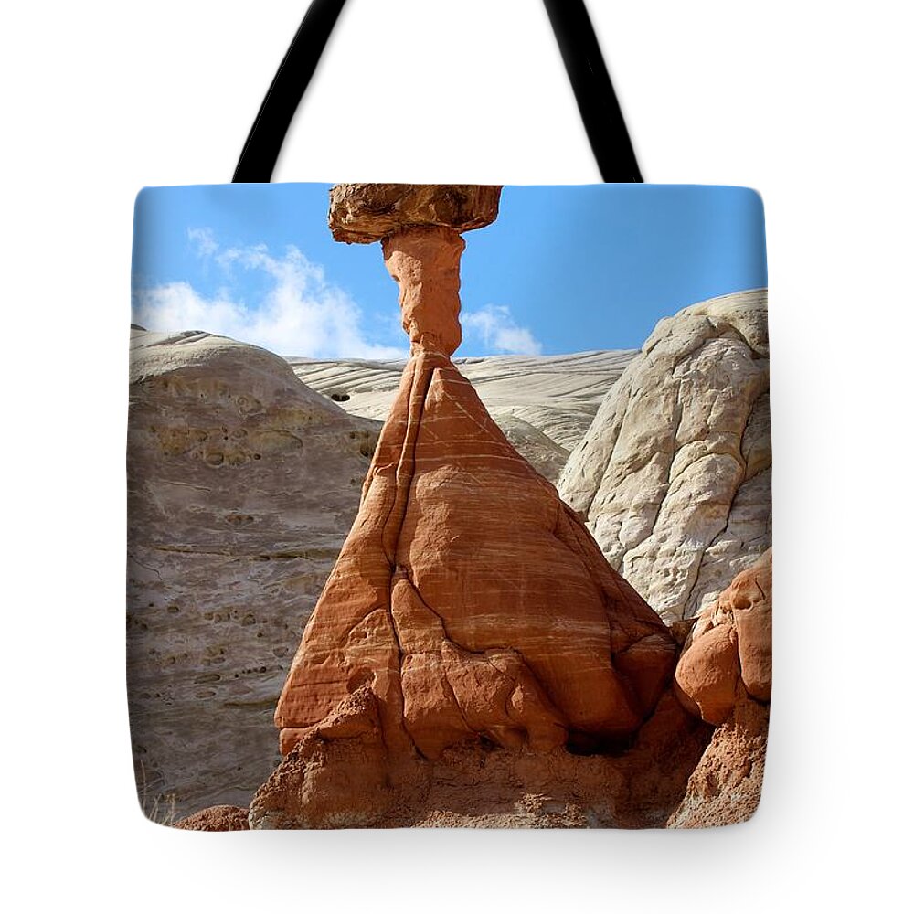 Paria Rimrocks Tote Bag featuring the photograph Toadstool Trail 1 by David Beebe