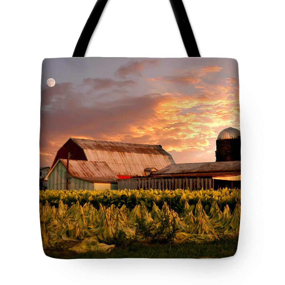  Tobacco Row Tote Bag featuring the photograph Tobacco Row by Randall Branham