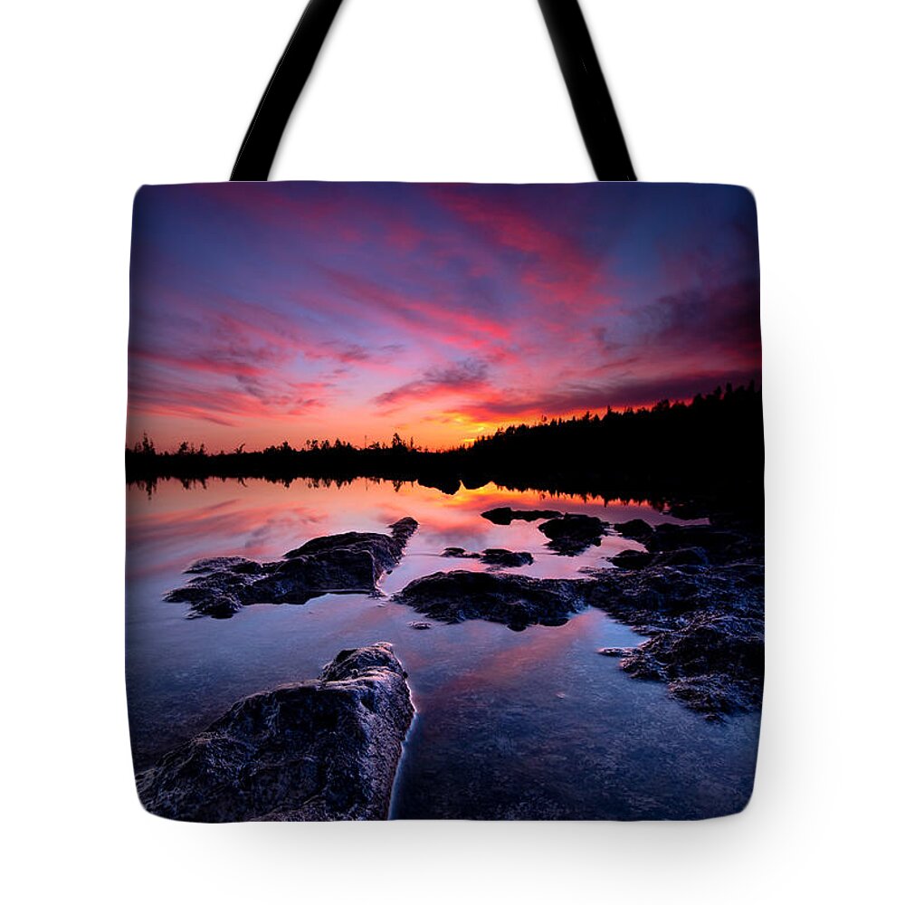 Tobermory Tote Bags