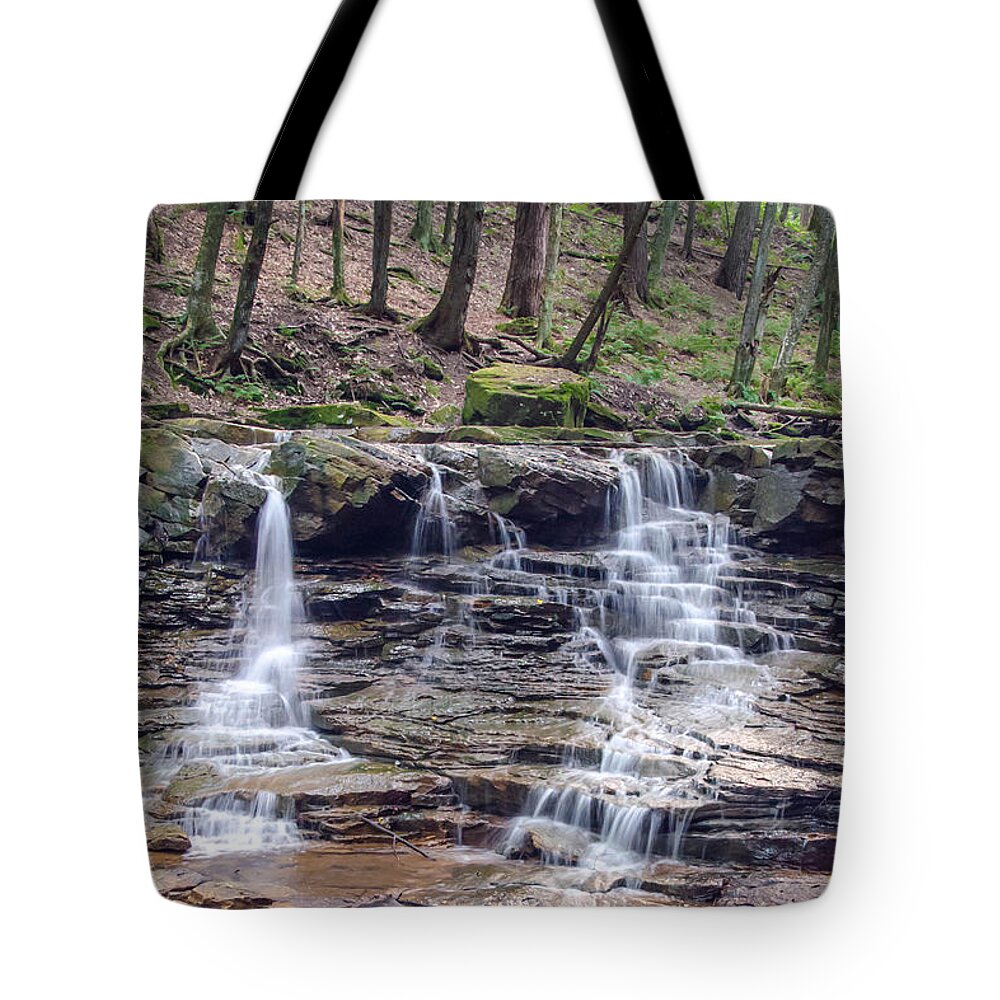 Guy Whiteley Photography Tote Bag featuring the photograph Toby Creek 6863 by Guy Whiteley