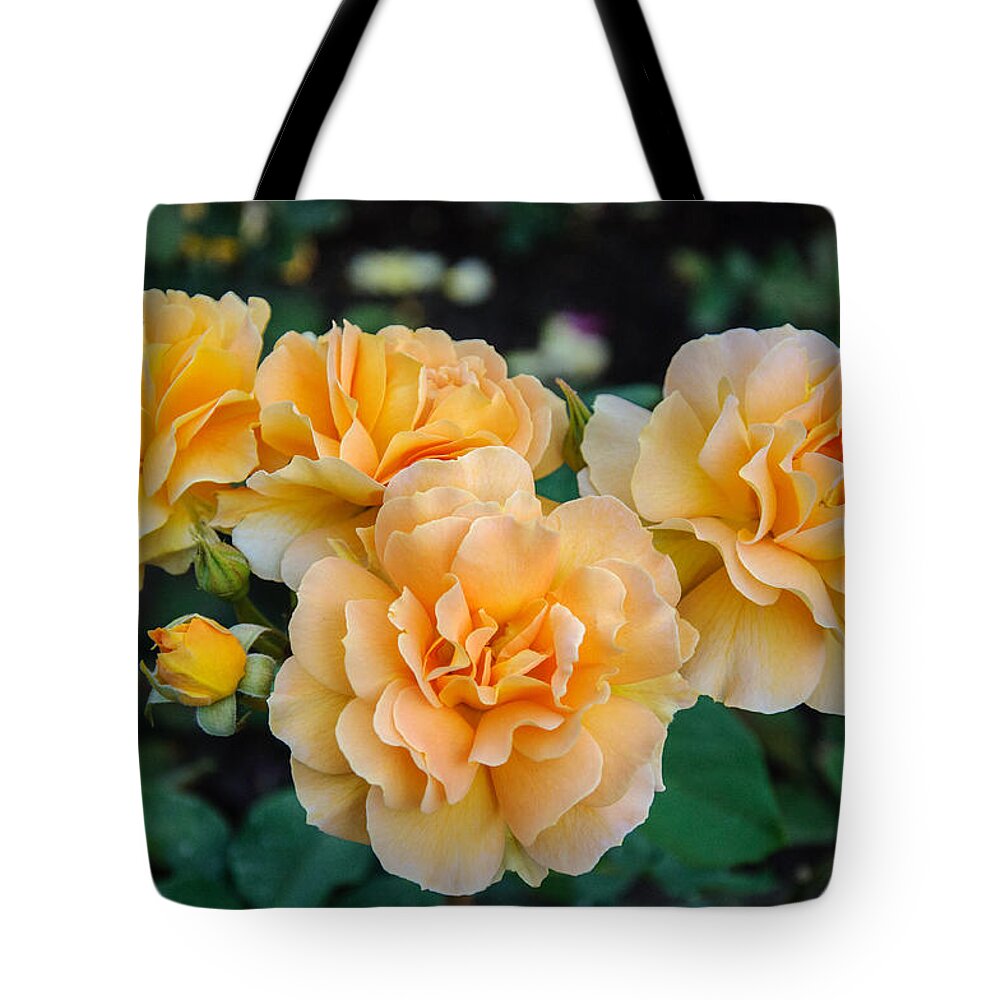 Rose Tote Bag featuring the photograph Together Always by Roxy Hurtubise