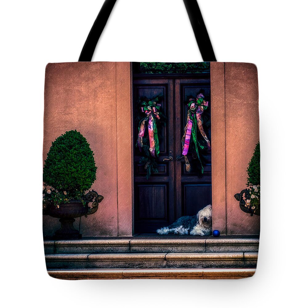 Nawlins Tote Bag featuring the photograph Too Hot To Fetch by Melinda Ledsome
