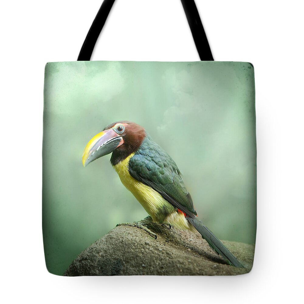 Birds Tote Bag featuring the photograph Toucan perched on a rock - Exotic Bird by Gary Heller