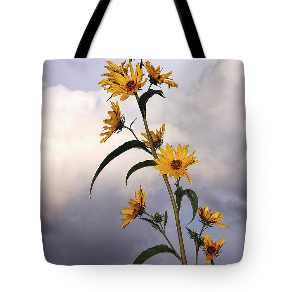 Kansas Tote Bag featuring the photograph Towering Sunflowers by Rob Graham