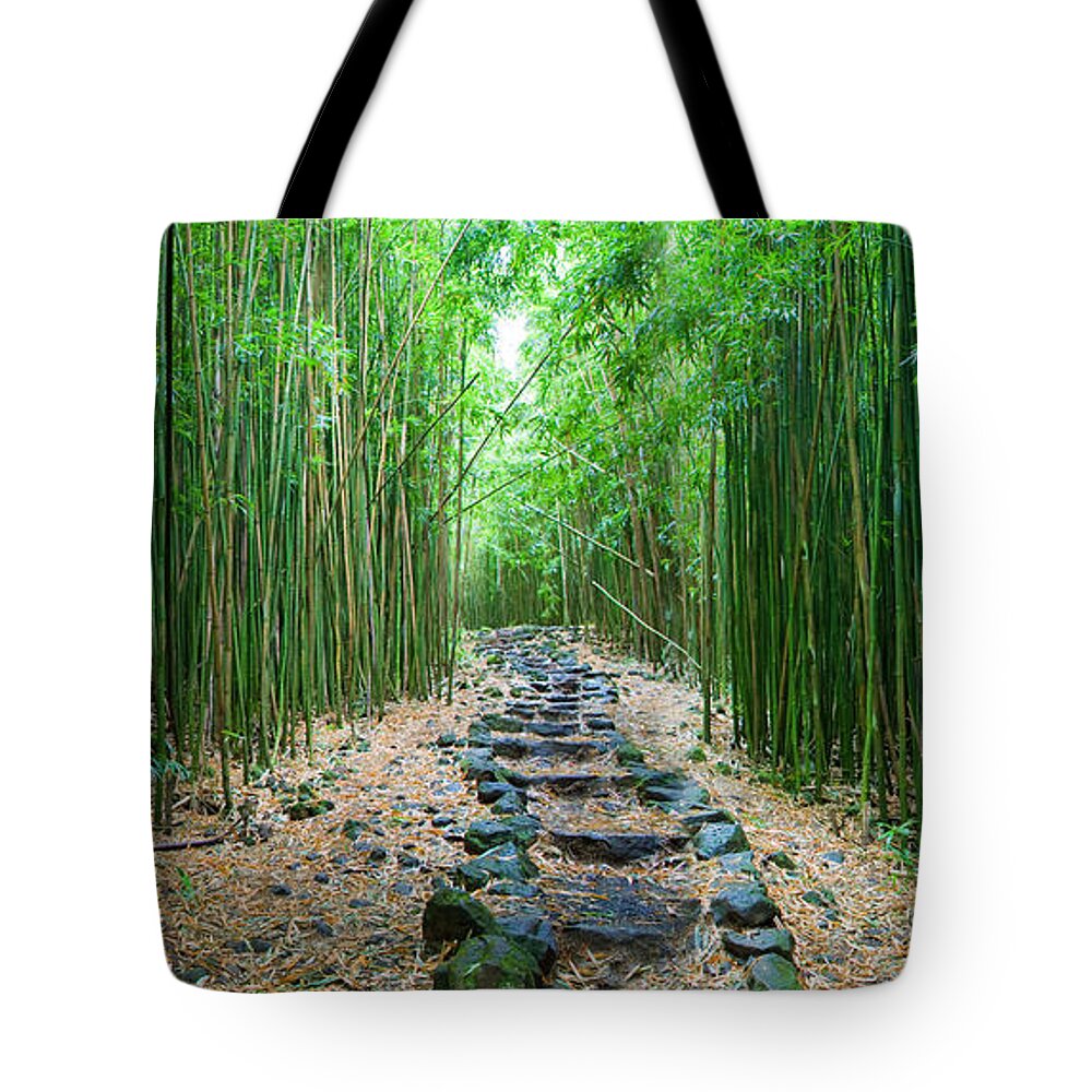 Amazing Tote Bag featuring the photograph Trail through Bamboo Forest by M Swiet Productions