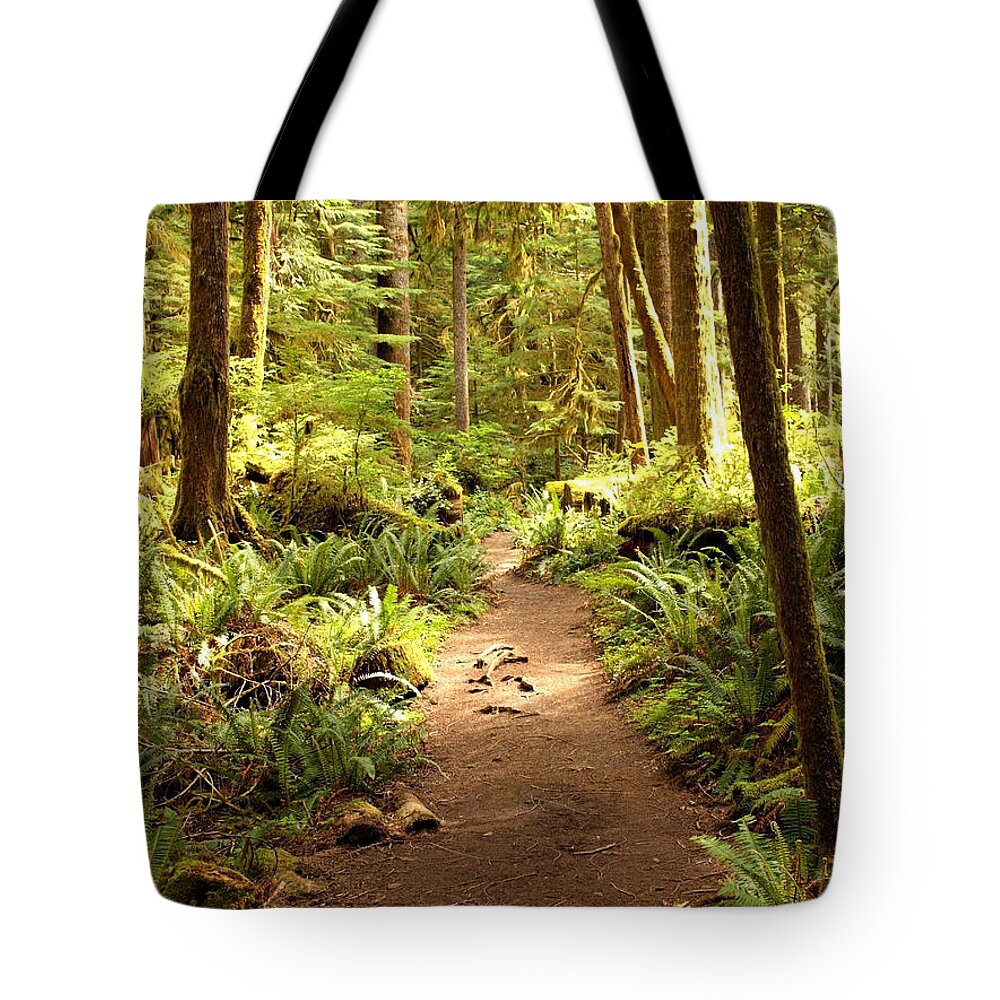 Forest Landscape Tote Bag featuring the photograph Trail through the Rainforest by Carol Groenen