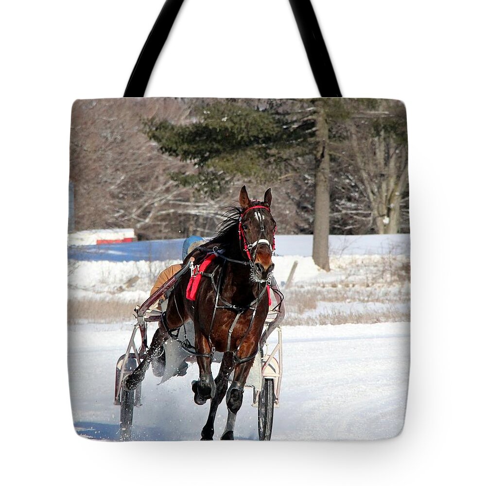 Animal Tote Bag featuring the photograph Training Day by Davandra Cribbie