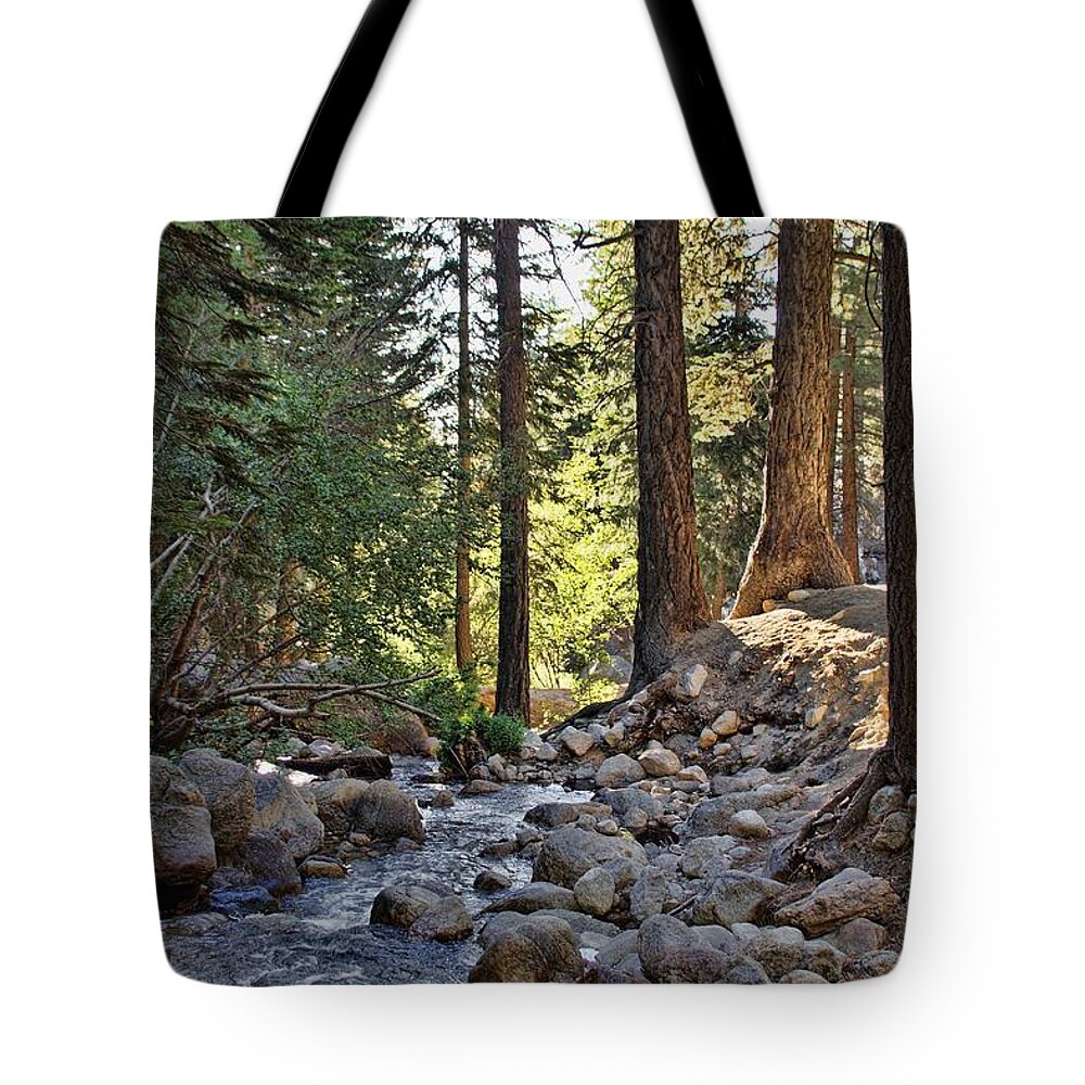 Scenery Tote Bag featuring the photograph Tranquil Forest by Peggy Hughes