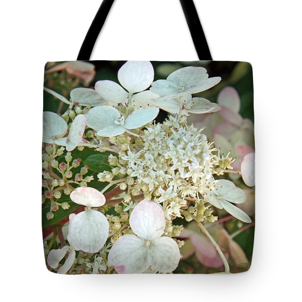 Flower Tote Bag featuring the photograph Tranquil Pastels by Brenda Brown