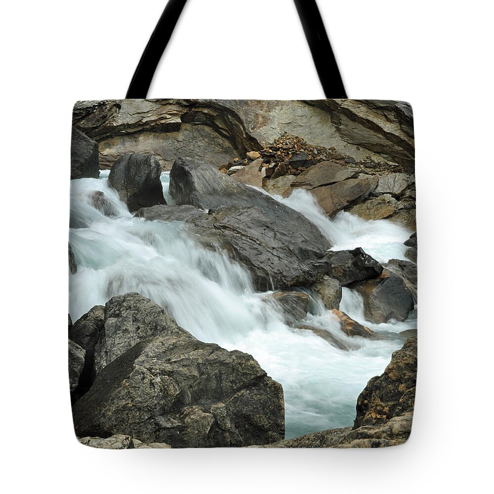 Tranquility Tote Bag featuring the photograph Tranquility by Lisa Phillips