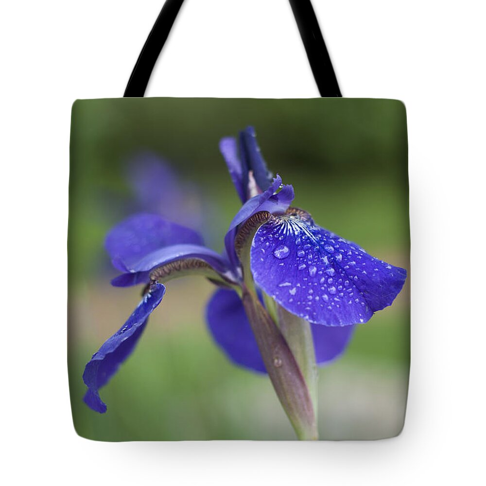 Osaka Garden Tote Bag featuring the photograph Tranquility by Miguel Winterpacht