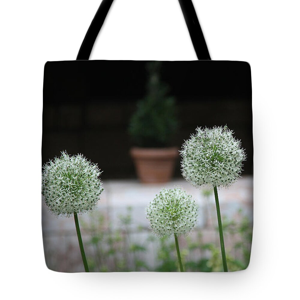 Nature Tote Bag featuring the photograph Tranquility by Yvonne Wright