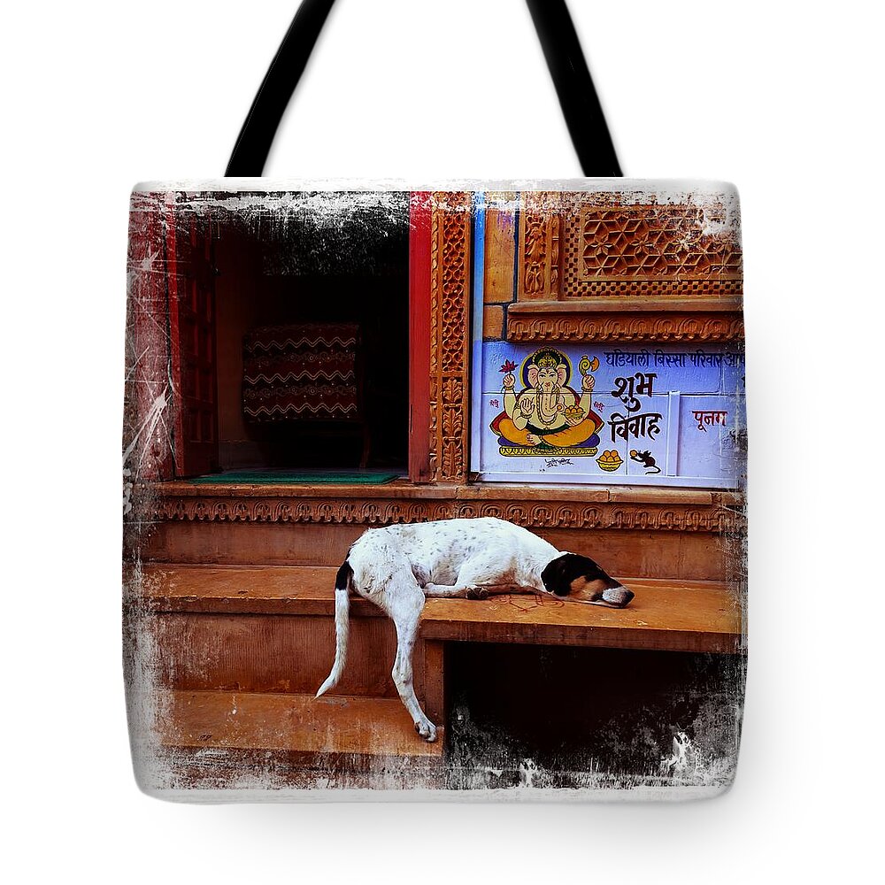 Dog Tote Bag featuring the photograph Travel Sleepy Happy Doggie Jaisalmer Fort India Rajasthan by Sue Jacobi